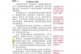 诸葛的生活日记，诸葛的生活日记怎么写