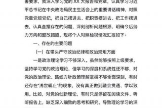 民主生活会个人发言材料 2024年5个对照个人剖析材料