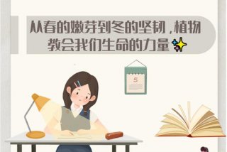 装点生活的美好；装点了我们的生活