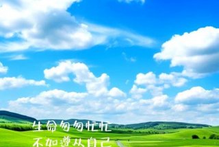 生活的意义（生活的意义不是赶路而是感受路上的风景）