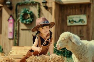 牧场主的悠闲生活图片；牧场主的样图