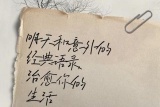 生活很平淡没有惊喜也没有意外，生活很平淡没有惊喜也没有意外的说说