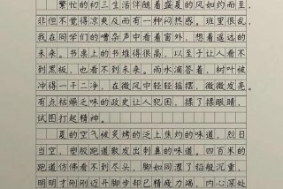 生活因xx而精彩作文400字 生活因 而精彩作文400字