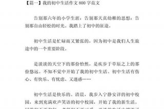 对生活的理解800字；我对生活的理解800字