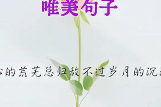 生活简朴的句子；生活简单朴素的句子
