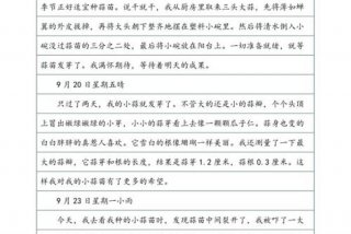 观察生活日记350字，观察生活日记350字怎么写