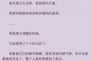 校花的生活1v1苏雪免费阅读；校花的日常生活小说