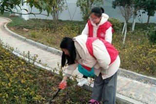 生活实践活动有哪些 - 生活实践的活动