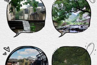 慢生活的城市宣传口号揭晓 - 慢生活城市有哪些