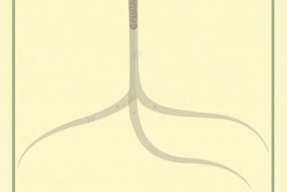 寄生生活的微生物有哪些（寄生生活的生物有什么）