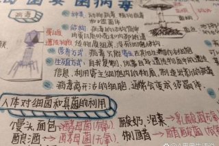 寄生生活的真菌 寄生在真菌里的病毒叫什么