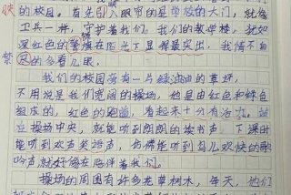 我的校园生活作文400字四年级，我的校园生活作文400字四年级上册