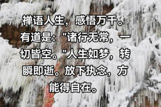 禅的生活感悟 - 生活感悟禅语经典句子