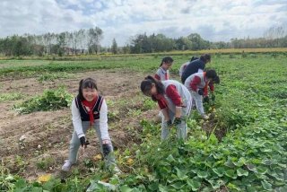 生活实践活动有哪些；生活实践活动有哪些四年级
