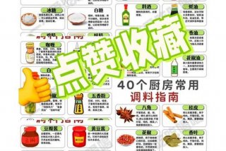 生活调味品的句子 生活的调味品的意思