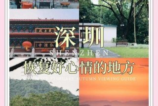 深圳生活好不好、深圳生活舒服吗