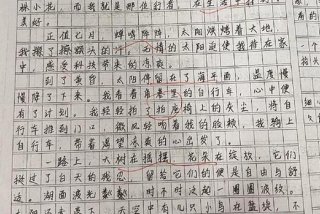 平淡生活的美好作文、平淡生活的美好作文素材