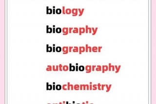 生活生命的英语单词（生活生命的英语单词复数）