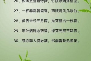 生活的诗句古诗（关于生活诗词）