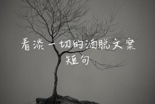 看生活的句子、看谈生活的句子