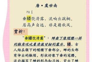 禅的生活纯受哪些因素的影响？蝉在地下生活数年 - 蝉与禅意