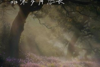 安逸生活图片带字，安逸生活图片带字高清