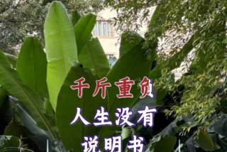 生活来之不易且行且珍惜什么意思；生活来之不易什么意思？