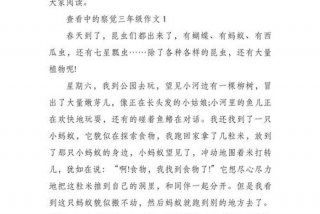 生活中的发现作文三年级300字、关于生活中的发现的作文300字