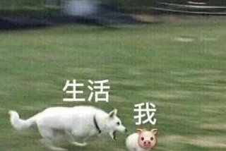 生活我表情包无字原图、生活 我 图片