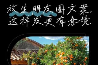 放生活动文案；关于放生活动后的文案