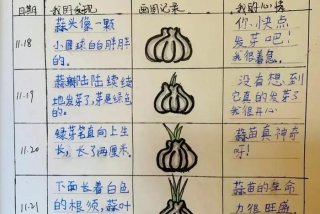 生活观察记录100篇 生活观察记录100篇三年级