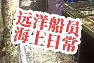 海员的生活与工作视频，海员的生活的感慨