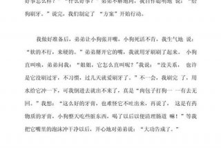 生活趣味作文素材摘抄 - 生活趣事素材