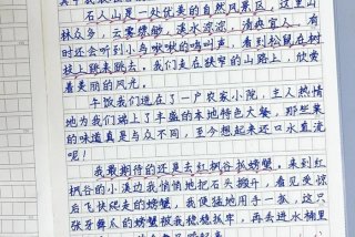 暑假生活作文、我的假期生活作文600字