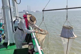 海员的生活环境和工作（海员的生活环境和工作环境）