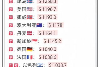 生活质量高的国家；生活水平高的国家