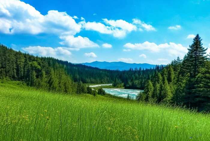 莱芜生态环境局、莱芜生态环境局王福军 莱芜生态环境局、莱芜生态环境局王福军