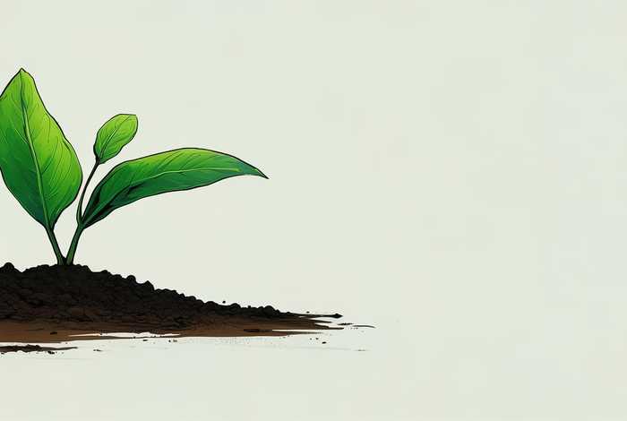 绿叶生长的简约插画 - 绿叶生长的简约插画作品