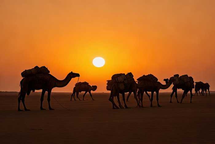 骆驼的生活习性二年级 骆驼的生活特点及特有的作用