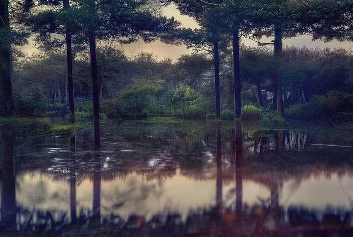 临沂大学大学生活动中心几点开门（临沂大学大学生活动中心怎么样）