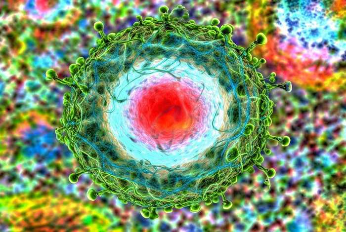 病毒的生活方式和营养方式、病毒的生活方式和营养方式是什么