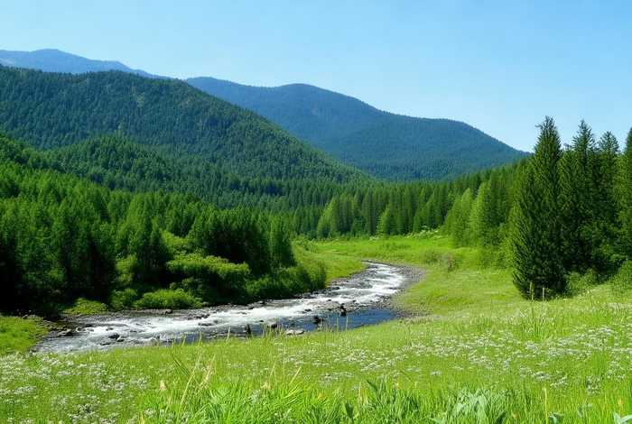 莱芜生态环境局、莱芜生态环境局王福军 莱芜生态环境局、莱芜生态环境局王福军