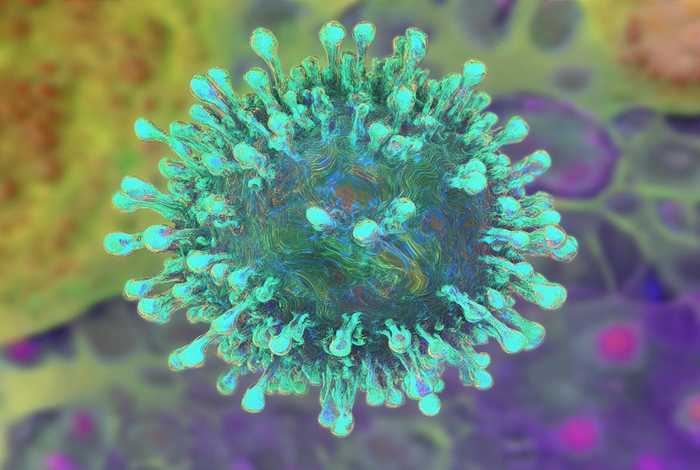 病毒是营什么生活的生物、病毒是一种营什么生活的生物