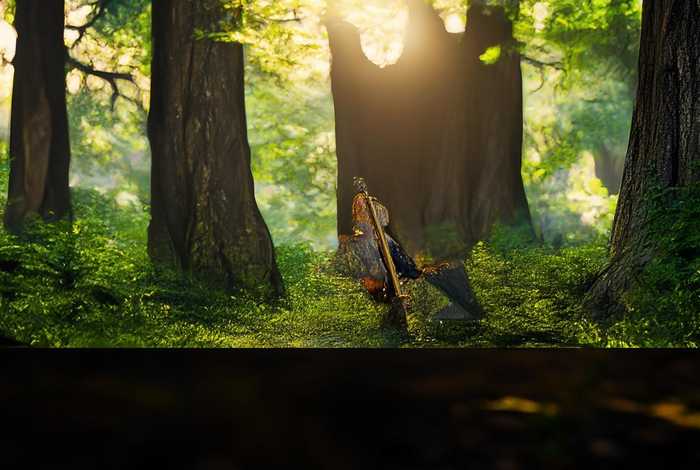 鹿鼎记生活技能一级木头去哪里砍 - 鹿鼎记升100级的技能要求