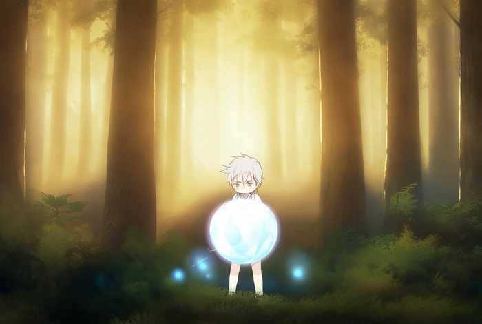 从零开始的异世界生活加护；从零开始的异世界生活加护的作用