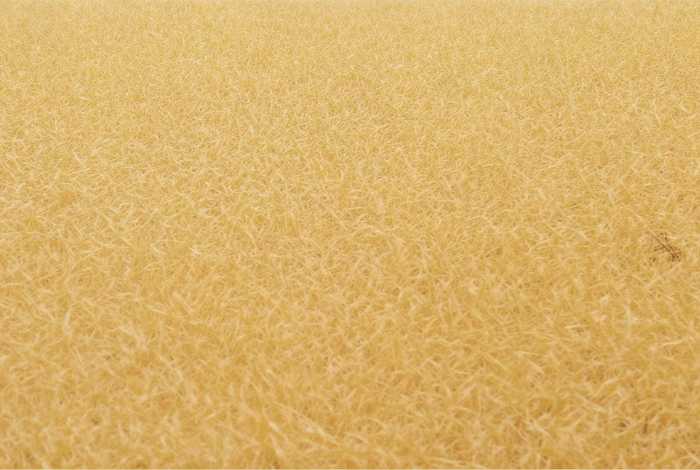 繁体字生活如诗,美丽如画怎么写（繁体字生活如诗,美丽如画怎么写好看）