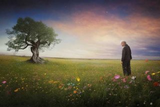 假如生活欺骗了你40集免费剧情（假如生活欺骗了你剧情40集简介）