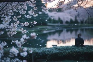 婚姻说说感悟生活伤心的句子、婚姻说说感悟生活伤心的句子图片