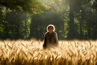 大麦的隐秘生活完整版，大麦的隐秘生活主演