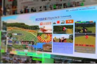 崇明生活网看看有啥新鲜事 崇明生活网 看看